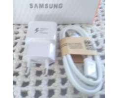 Samsung Carga Rápida a 30boli Ws60006847